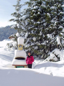 Winterurlaub im Haus Dachstein, Ferienwohnungen in Filzmoos