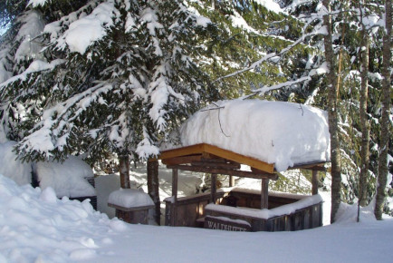 Winterurlaub im Haus Dachstein, Ferienwohnungen in Filzmoos